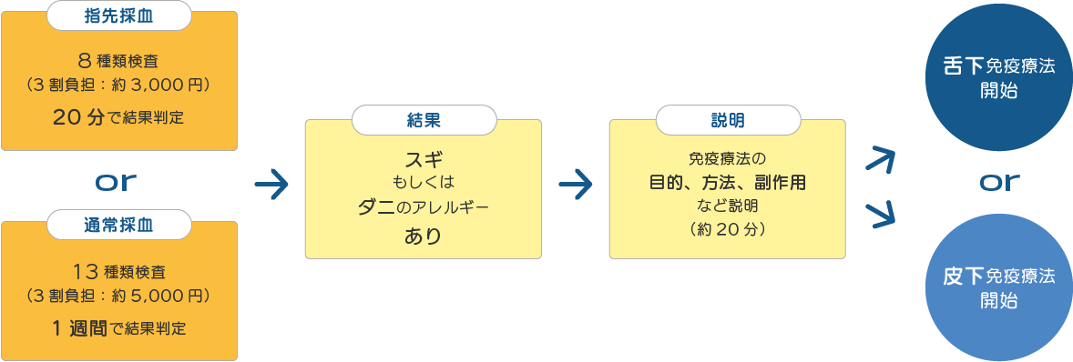 アレルゲン免疫療法の流れ